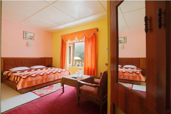 Hotel Mohan Palace Manali  Exterior photo